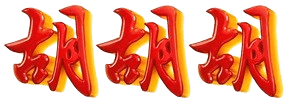 logo NAGAKOIN